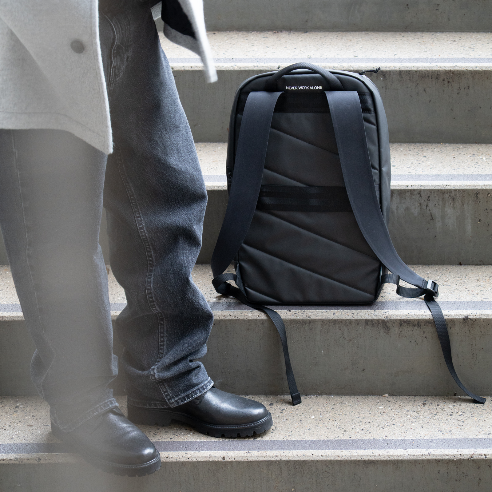 Racoon Business Rucksack Campus