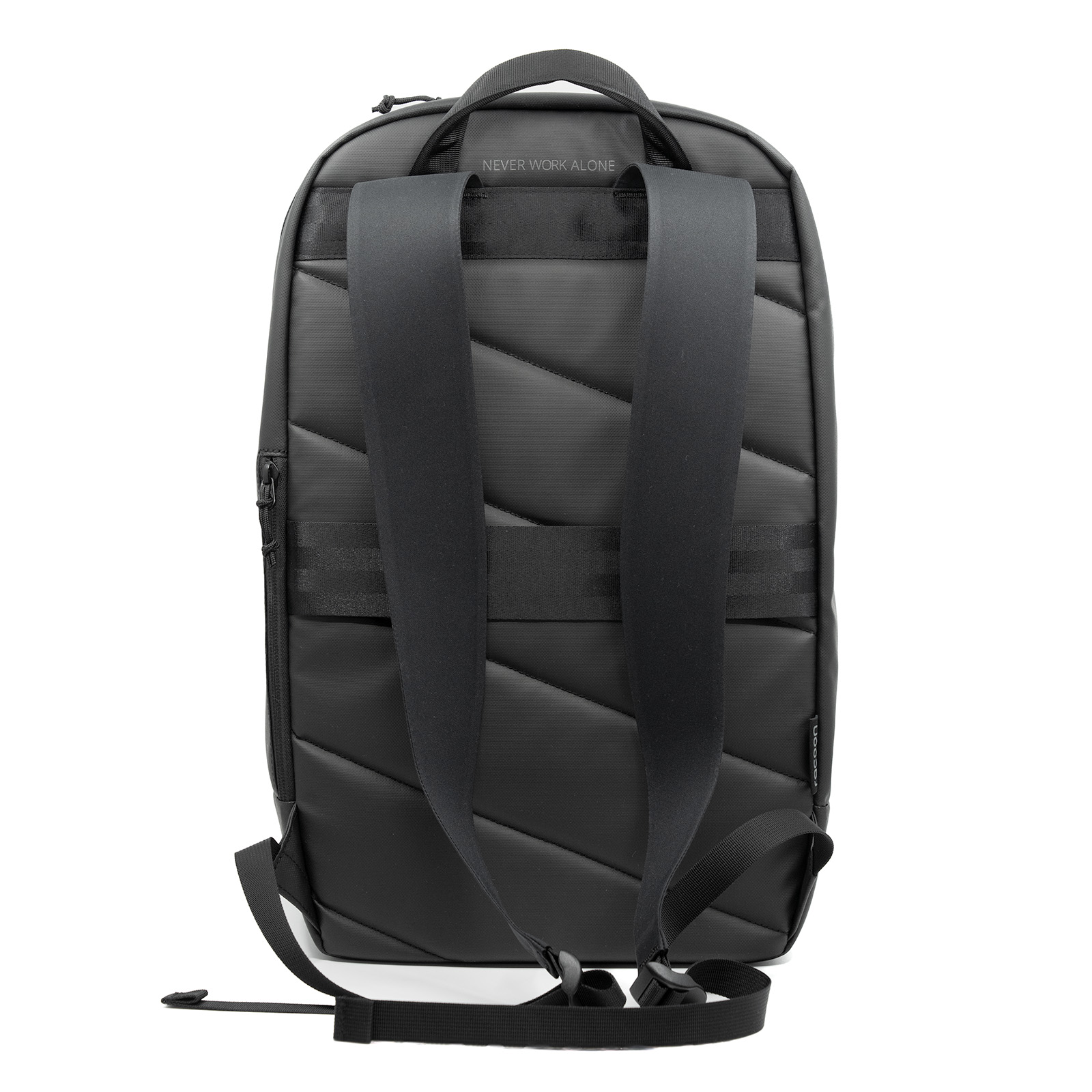 campus rucksack back